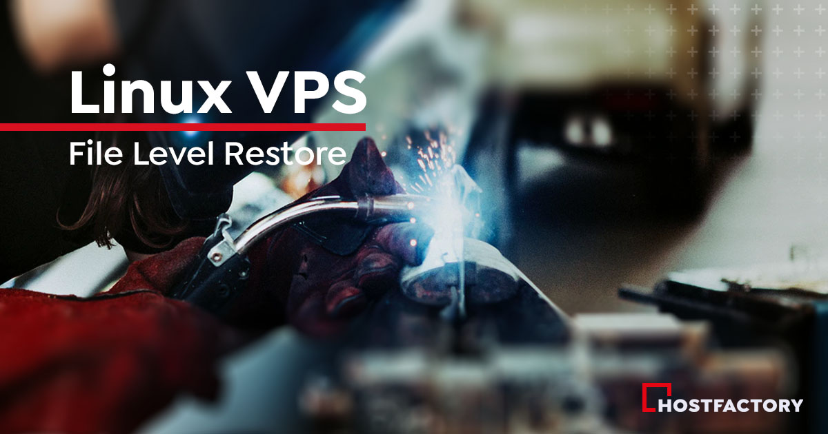 File Level Restore auf Linux VPS